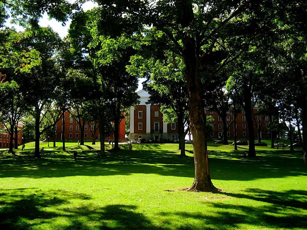 The Quad is featured at Amherst College on a sunny day.
