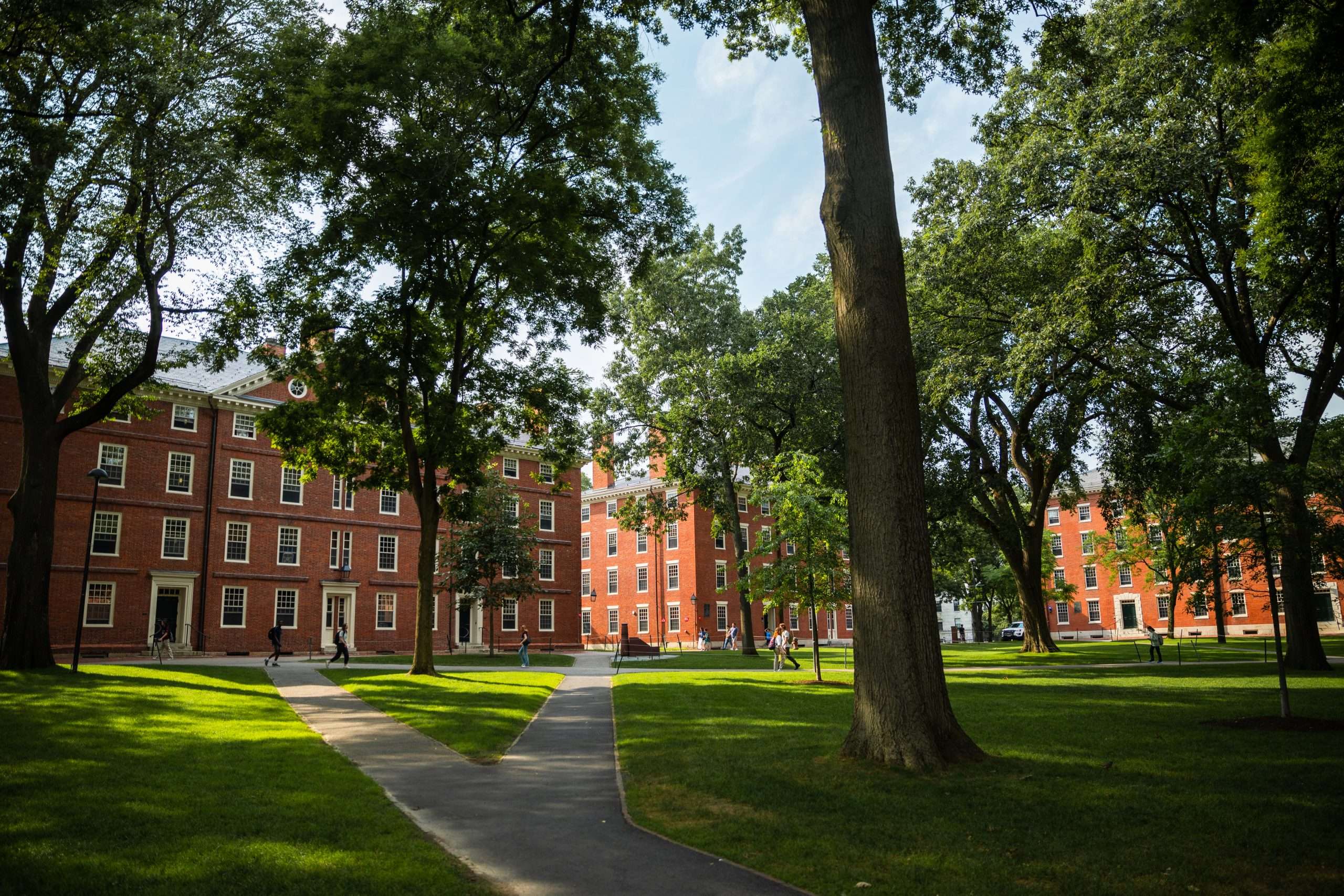 Harvard Yard is featured under a blue sky.