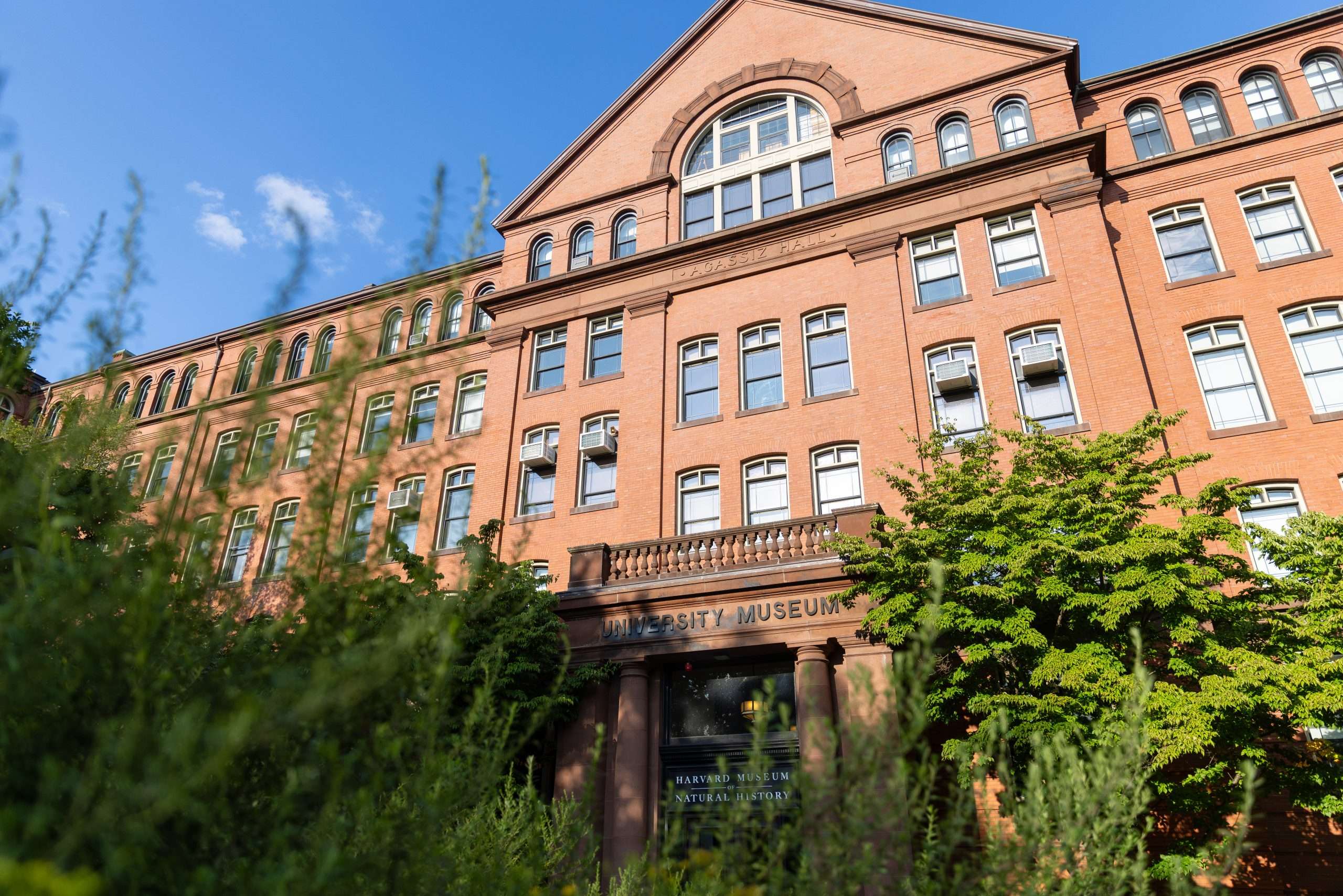 The Harvard Museum of Natural History is featured from the exterior.
