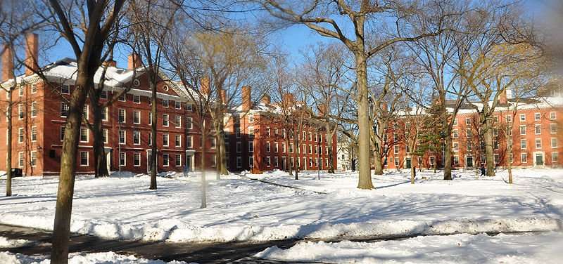 This is a landscape shot of Harvard Yard in the winter.