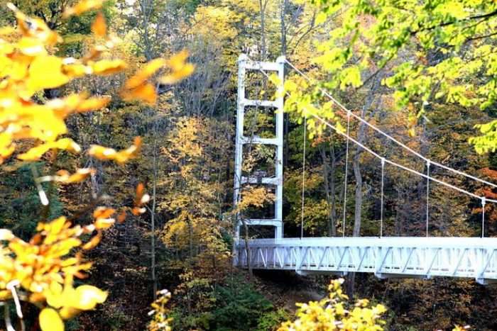 A bridge sits between yellow and green-leaved trees at Cornell University.