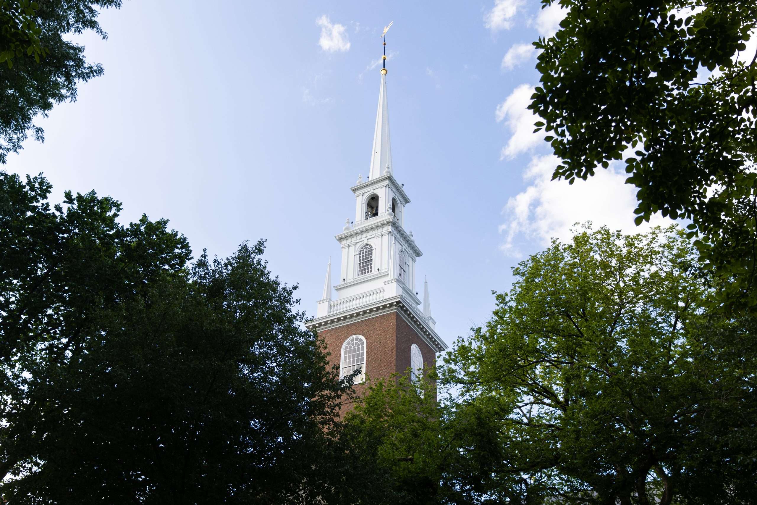 A clocktower juts out of the trees at Harvard University.