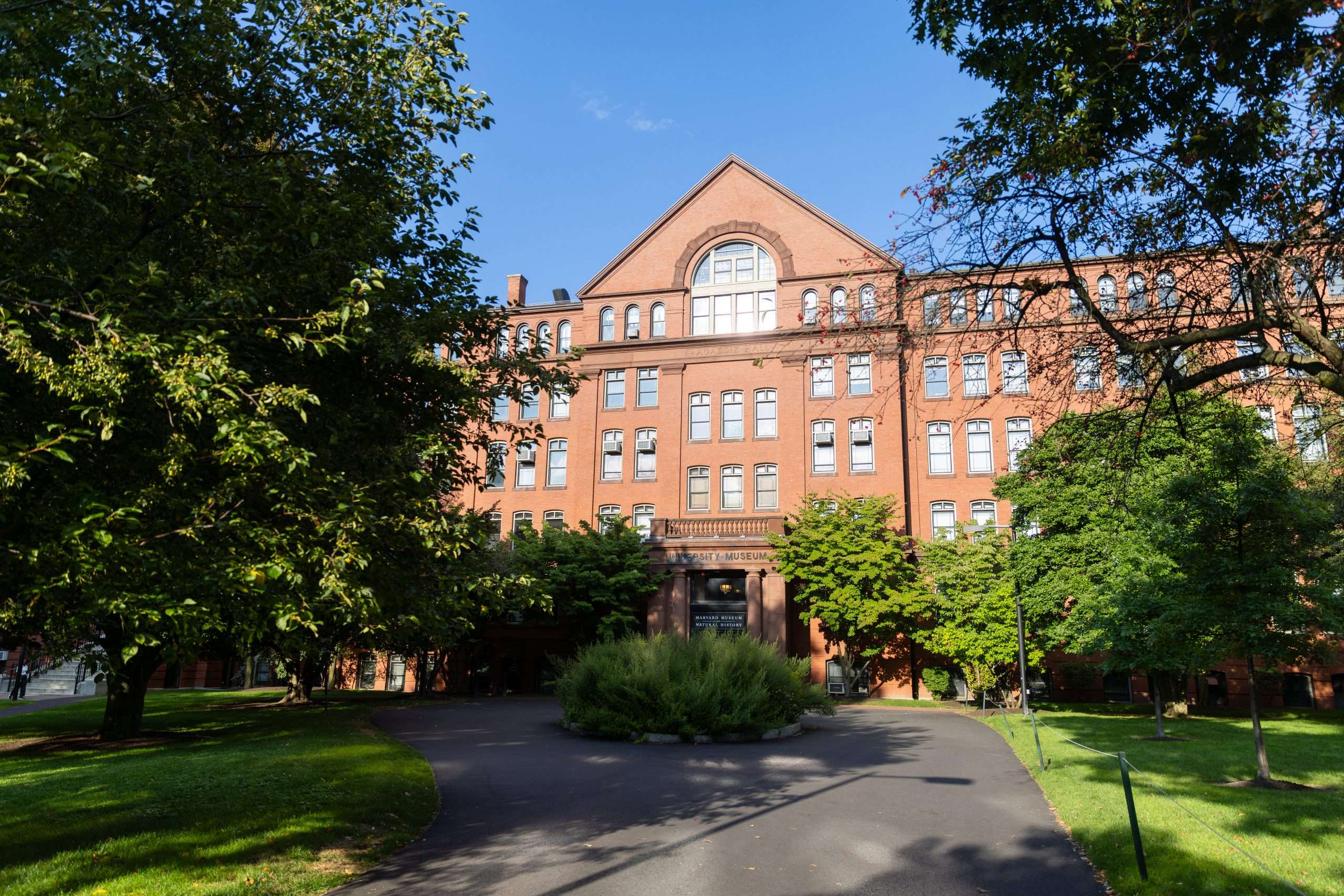 The Harvard Museum is featured at Harvard University beyond greenery.
