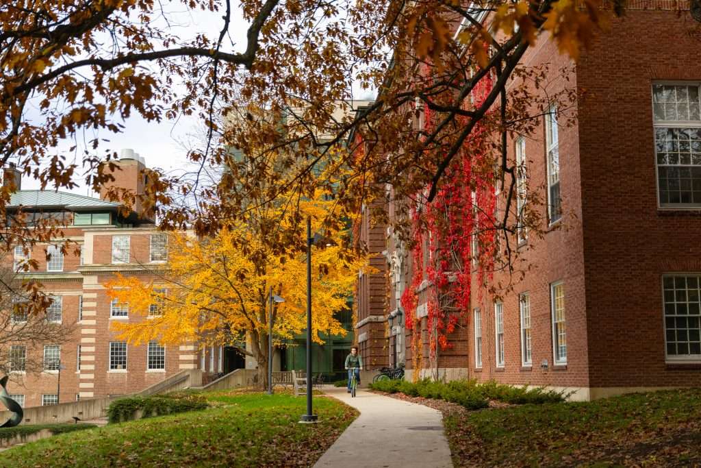 A person bikes on a path beside a brick building covered in red ivy and a yellow tree at Dartmouth College.