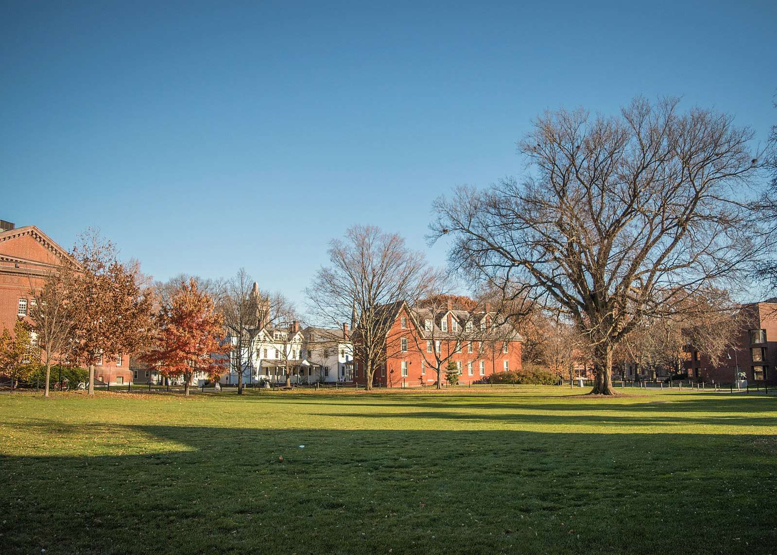 A view of Smith College's campus green.