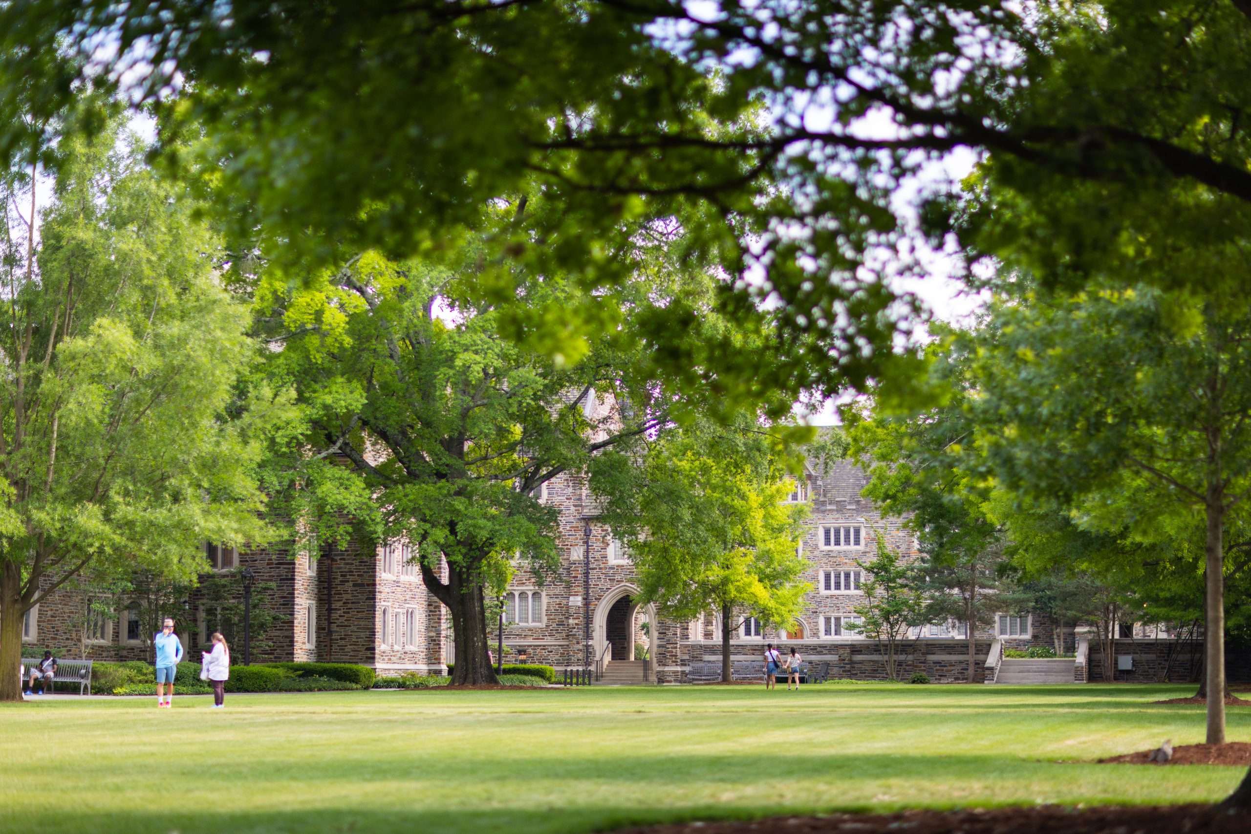 A view of a lawn with gothic architecture in the background at Duke University.