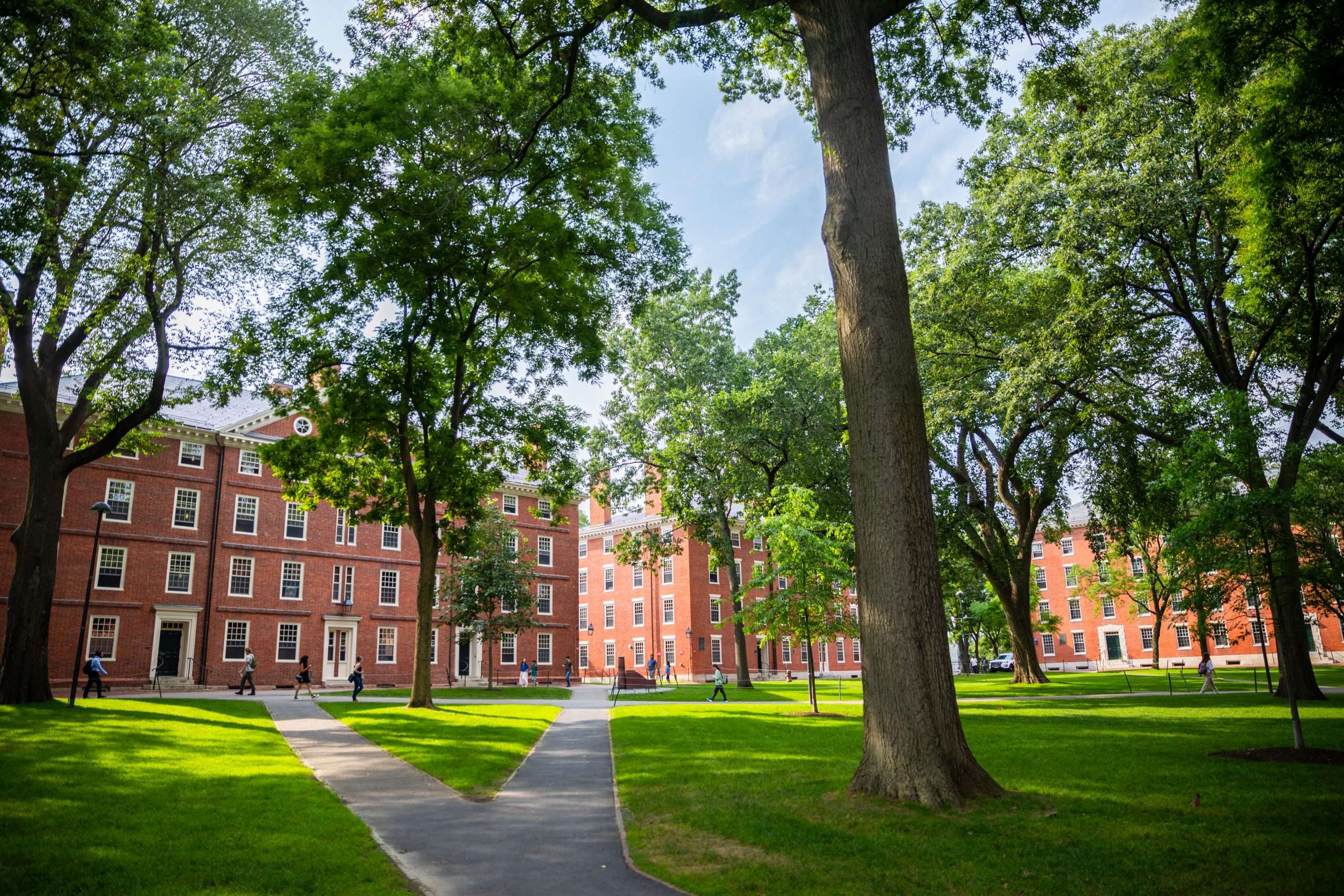 Harvard Yard is featured on a sunny day.