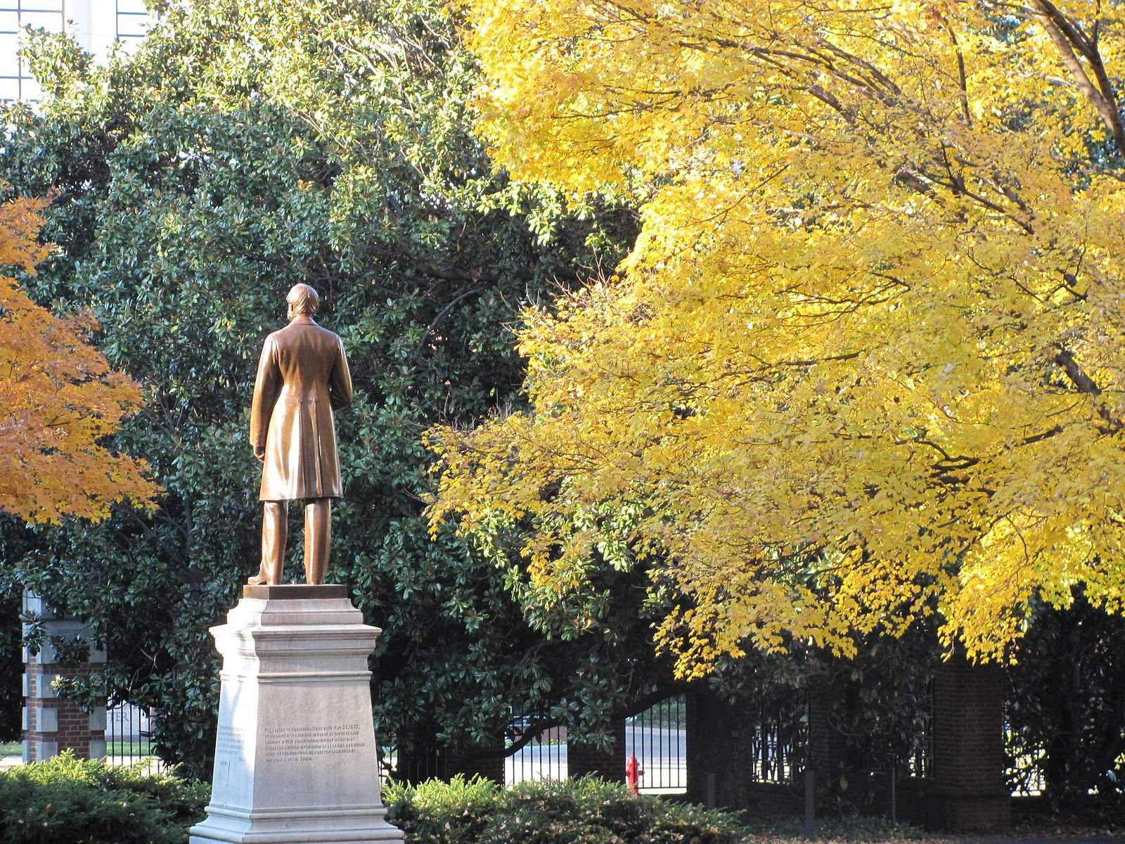 The back of a bronze statue is featured at Vanderbilt University adjacent to a tree with yellow leaves.